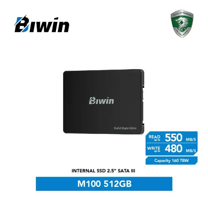 BIWIN M100 512GB SATA