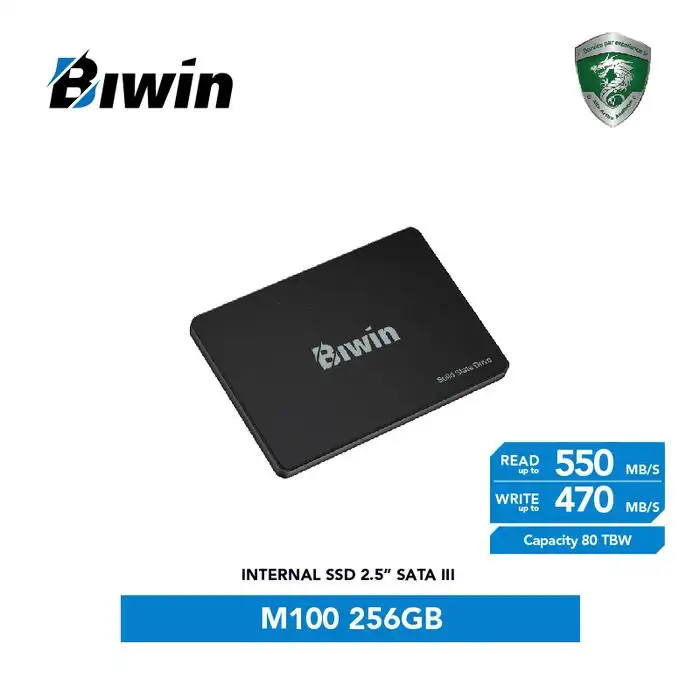 BIWIN M100 256GB SATA