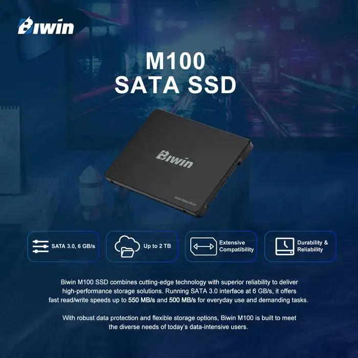 BIWIN M100 256GB SATA