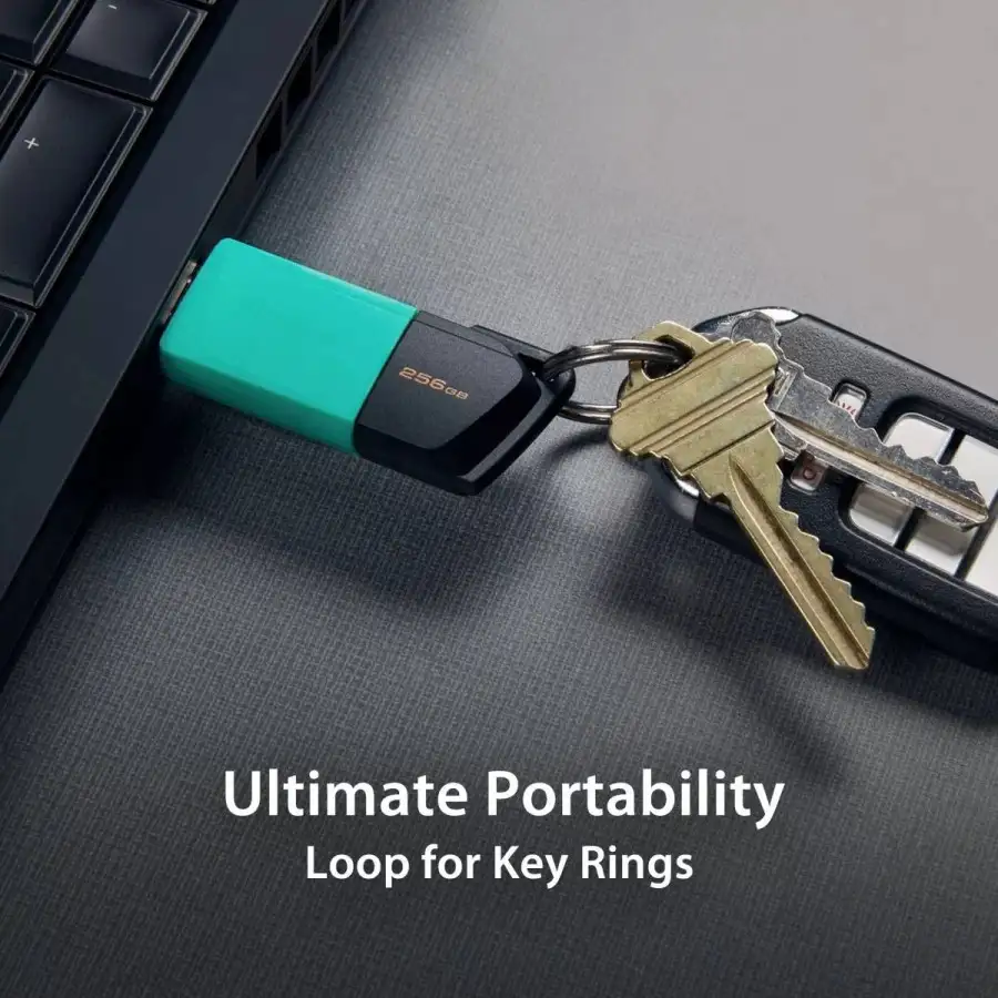 FLASHDISK KINGSTON 256GB USB3.2 DataTraveler Exodia M