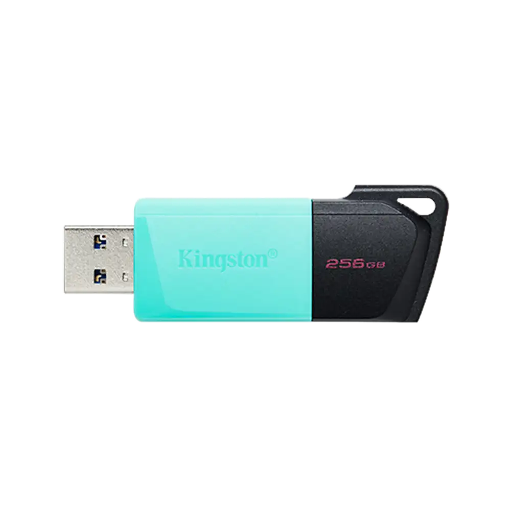FLASHDISK KINGSTON 256GB USB3.2 DataTraveler Exodia M