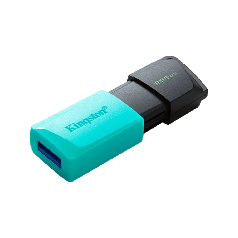 FLASHDISK KINGSTON 256GB USB3.2 DataTraveler Exodia M